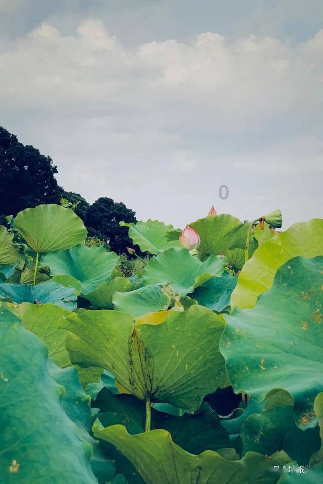 海滩宾馆逃生