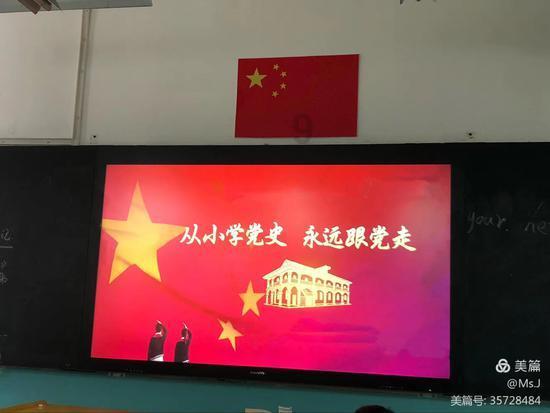 胖小猫救援